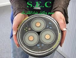 ما به عنوان یک مرجع تخصصی، تنها یک فروشگاه ساده نیستیم؛